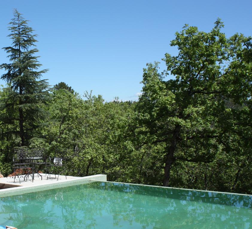 Sous Les Oliviers - Piscine Chauffee - Studios De Standing Tout-Equipes Saint-Maximin Δωμάτιο φωτογραφία