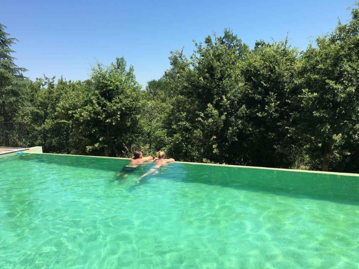 Sous Les Oliviers - Piscine Chauffee - Studios De Standing Tout-Equipes Saint-Maximin Εξωτερικό φωτογραφία